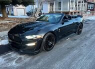 Ford Mustang • GT Premium Convertible 2D