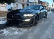 Ford Mustang • GT Premium Convertible 2D