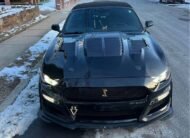 Ford Mustang • GT Premium Convertible 2D