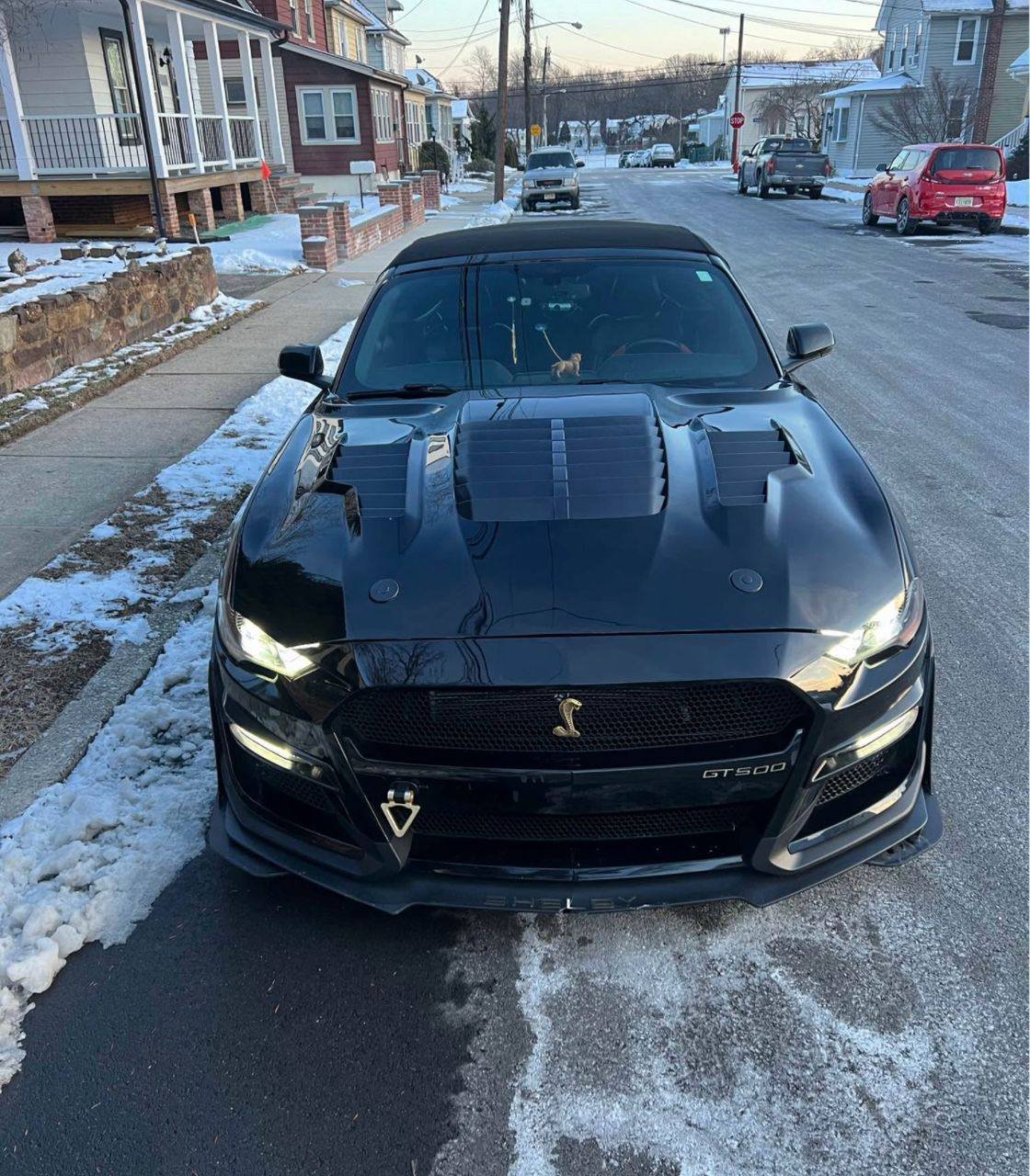 Ford Mustang • GT Premium Convertible 2D