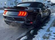 Ford Mustang • GT Premium Convertible 2D