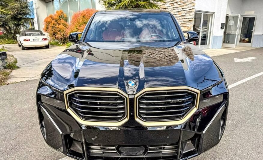 2023 BMW XM