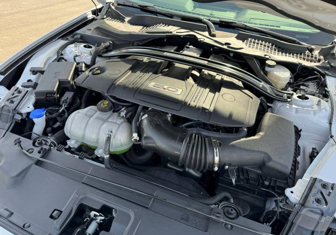 2022 Ford Mustang Roush TrakPak S2